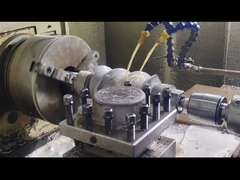 Berstoff Twin Screw Extruder Screw Segments และกระบอก